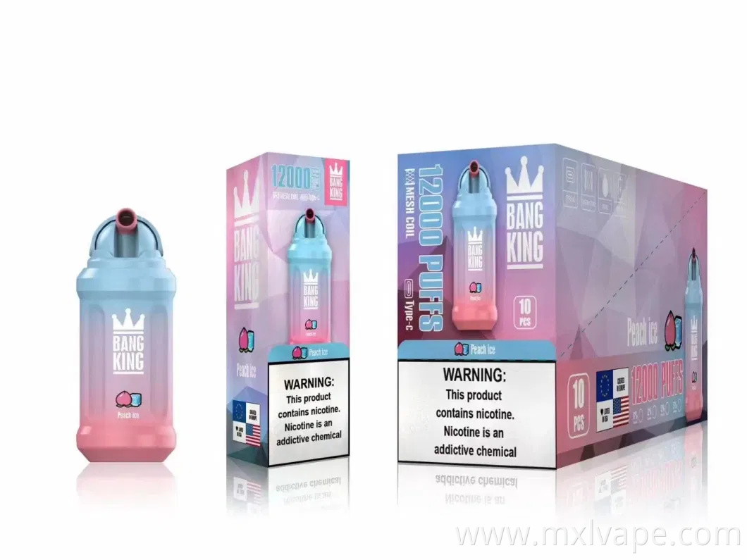 Bang King 12000 Puff Disposable Bang 650mAh Rechargeable Battery Mesh Coil 23ml Capacity Pods Device Vape Pen
